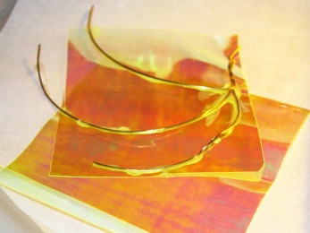OOAK fairy wing drying Fantasy Film