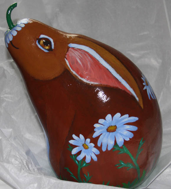 bunny gourd
