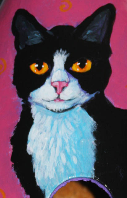 tuxedo cat gourd